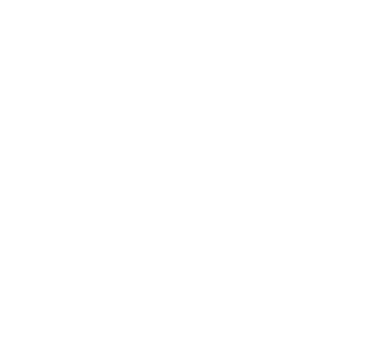 The Brothers That Just Do Gutters wordmark